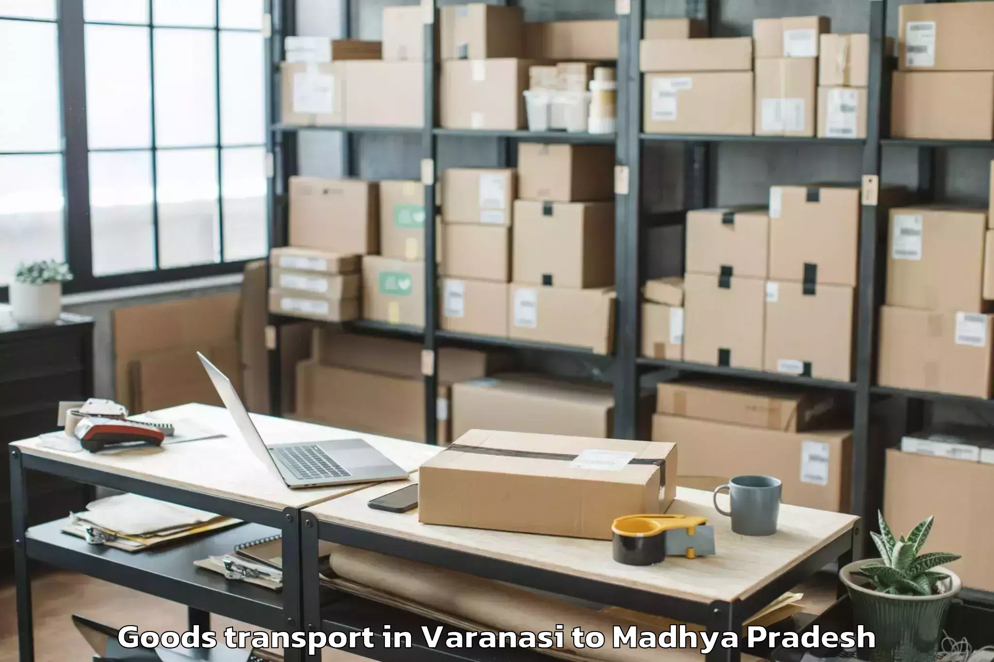 Professional Varanasi to Sitamau Goods Transport